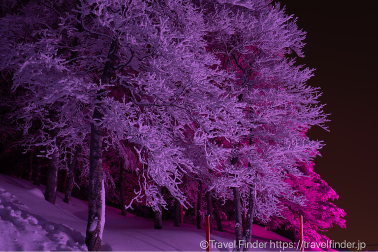 【山形】極寒の中樹氷の撮影！寒さ対策の話も…蔵王国定公園