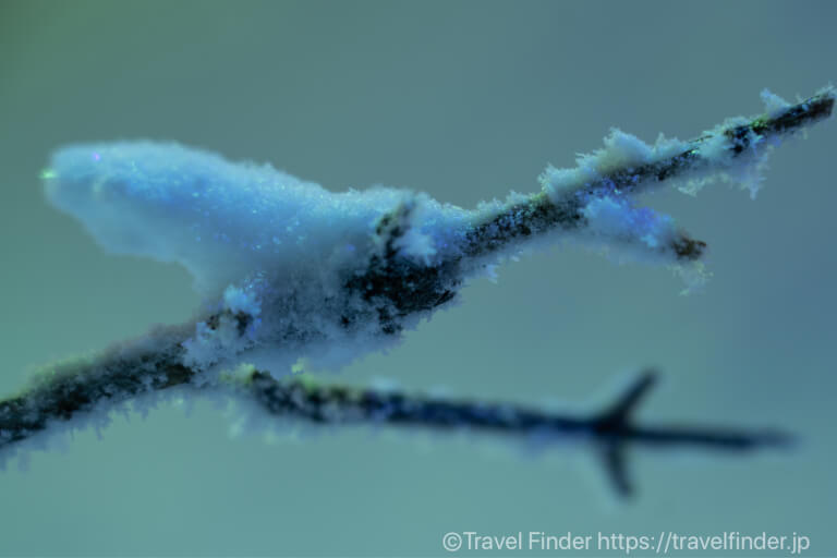 【山形】極寒の中樹氷の撮影！寒さ対策の話も…蔵王国定公園